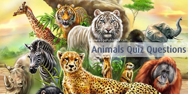 Animals Quiz - Multiple Choice Animal Quiz Questions & Answers