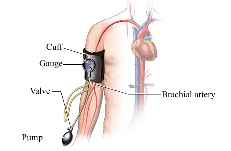 Blood Pressure Checking