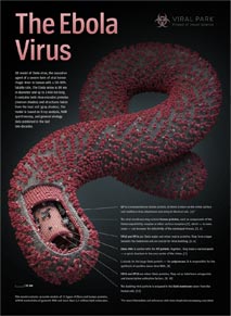 Ebola