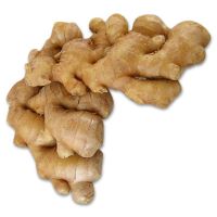 Ginger Health Benefits