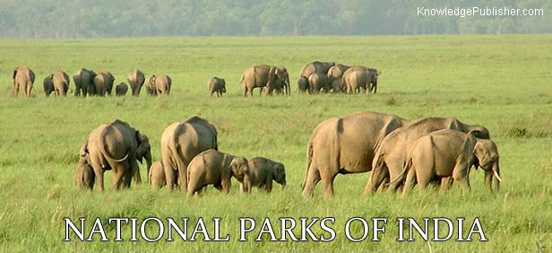 National Parks in India