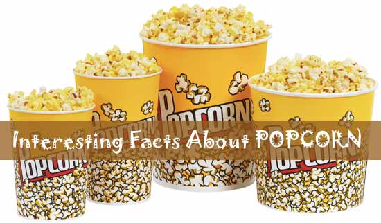 Popcorn Facts