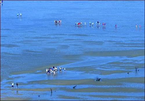 Wadden Sea in Germany