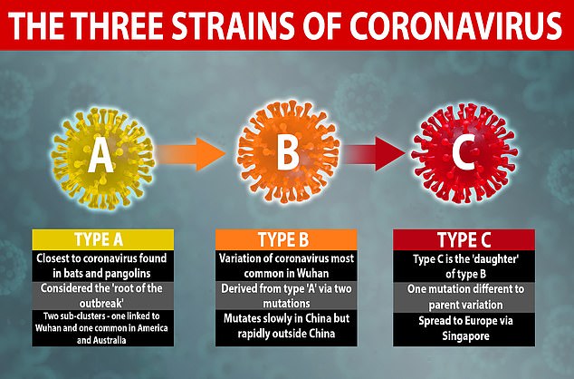 3 Types of Coronavirus Strains