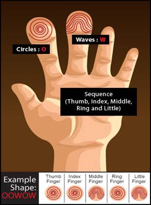 Finger Prints Shape