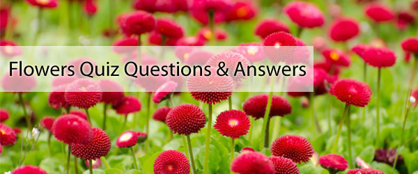 Flowers Quiz