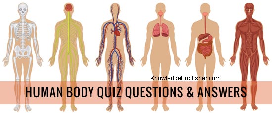 Human Body Quiz Questions