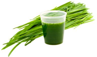 Wheatgrass Juice Benefits